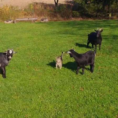 Apartment Vopariluv Statek Lestina *
